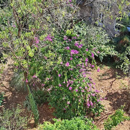 Freesia Lejlighed Rijeka