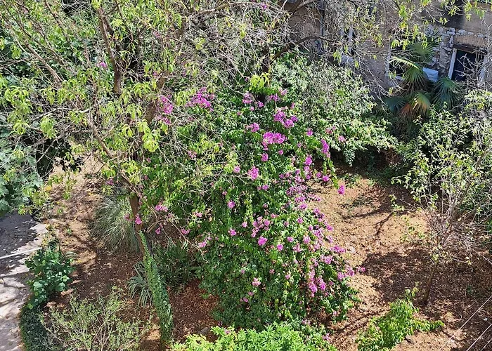 Freesia Appartement Rijeka